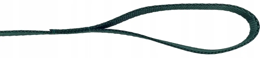 Champion Hondenlijn Groen 120cm