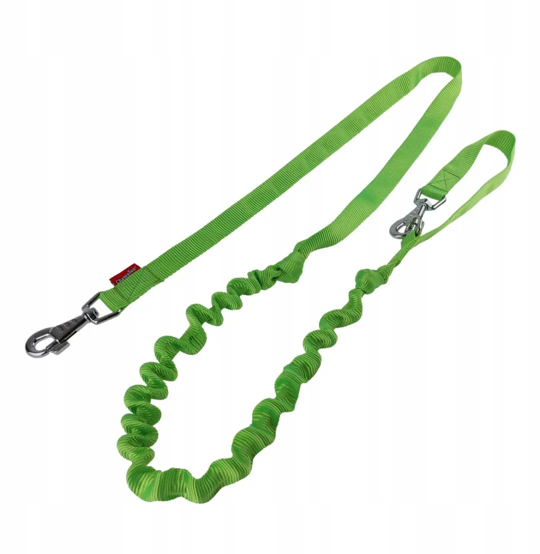 Champion Hondenriem met Schokdemper 250cm