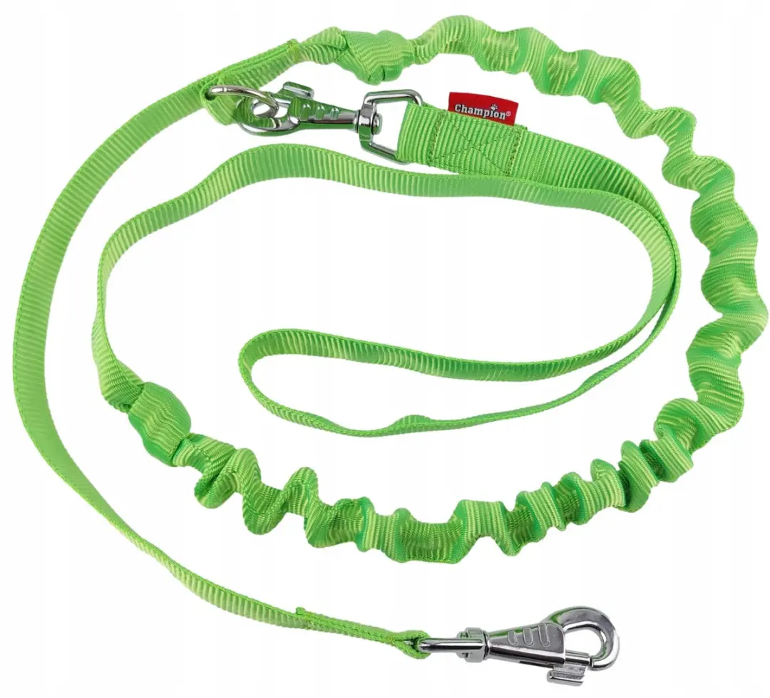 Champion Hondenriem met Schokdemper 250cm