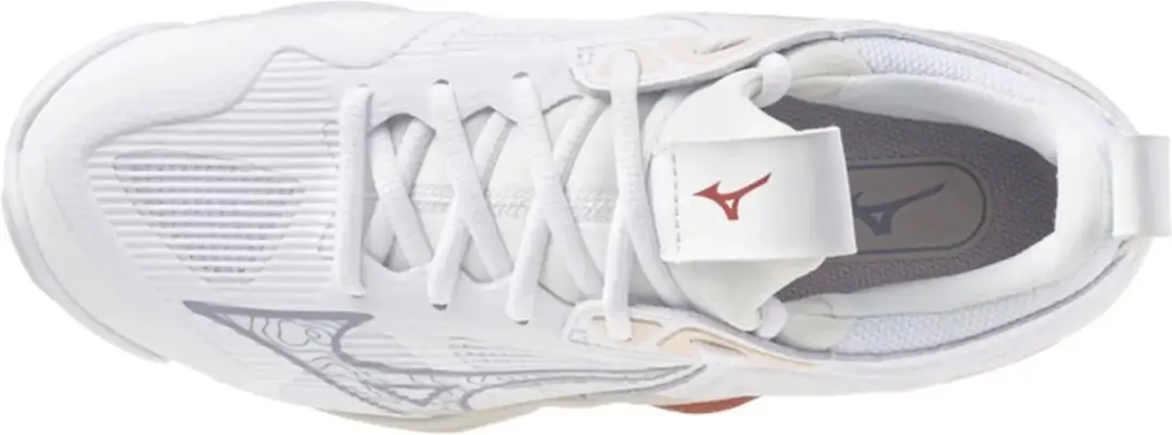 Mizuno Wave Momentum Dames Indoorschoenen 41 - Wit