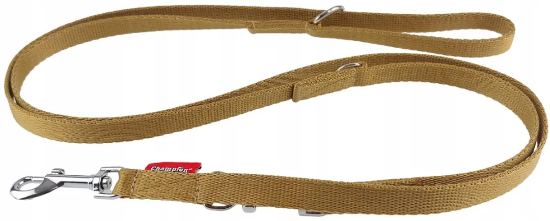 Champion Hondenlijn Verstelbaar 225cm - 1.6cm PP Band Goud