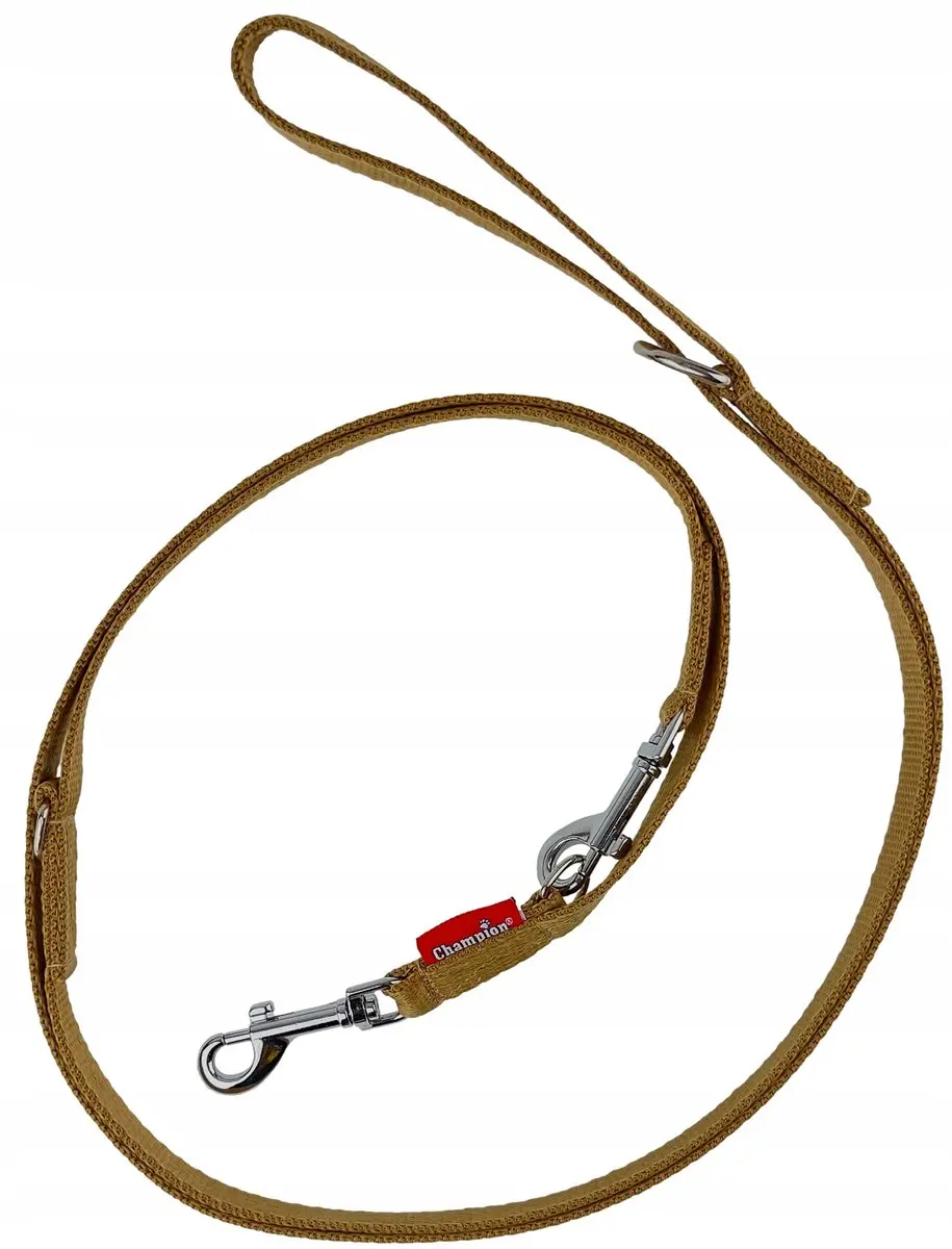 Champion Hondenlijn Verstelbaar 225cm - 1.6cm PP Band Goud