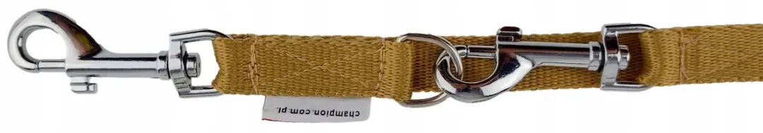 Champion Hondenlijn Verstelbaar 225cm - 1.6cm PP Band Goud