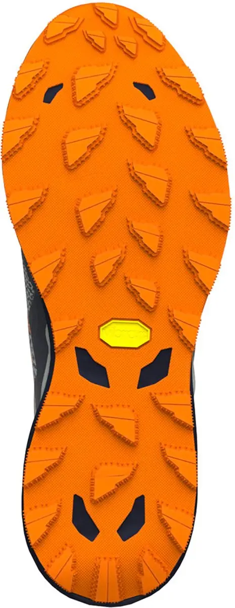 Mizuno Wave Daichi 9 Trailschoenen - Grijs - EU 45