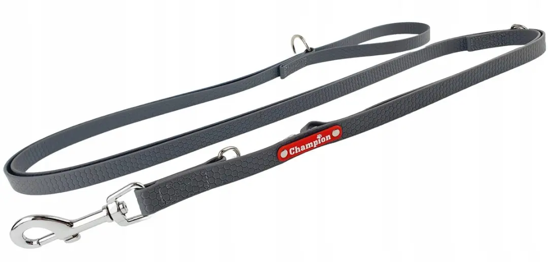 Champion Verstelbaar Waterdicht Hondensnoer 3m