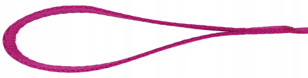 Champion Hondenlijn Klassiek 120cm x 1.3cm - Fuksja