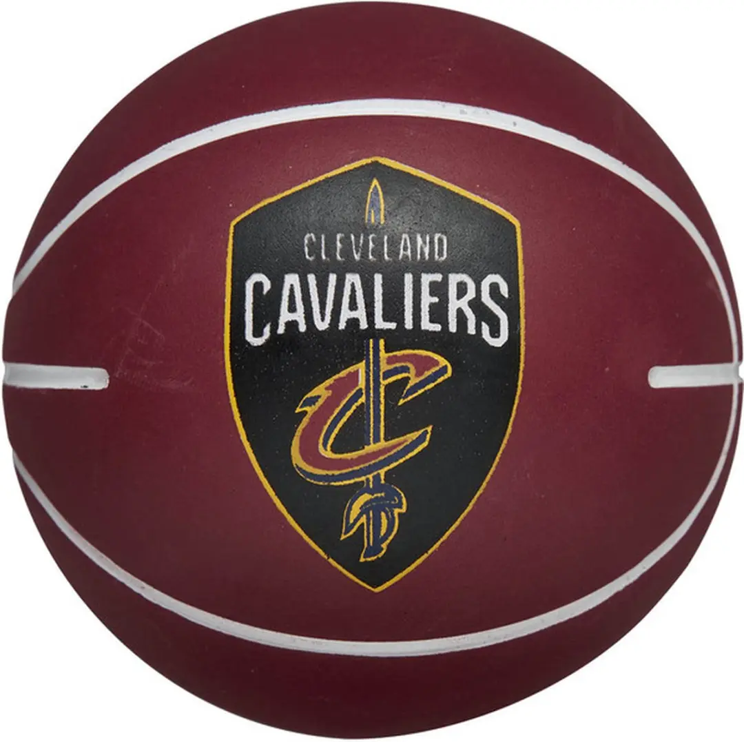 Wilson NBA Team Dribbler Stuiterbal