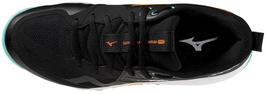 Mizuno Wave Momentum Pro Indoor Schoenen Heren