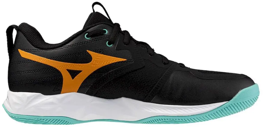 Mizuno Wave Momentum Pro Indoor Schoenen Heren - Zwart