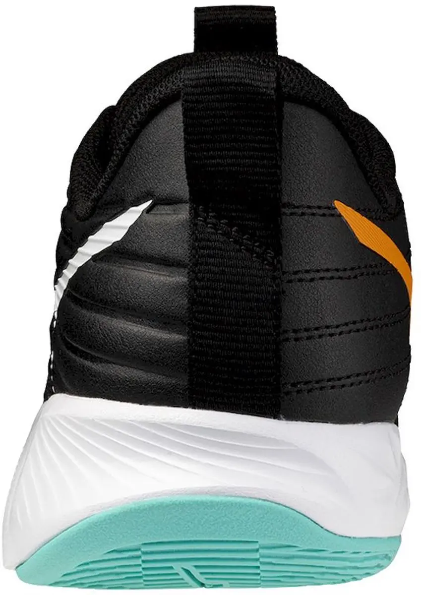Mizuno Wave Momentum Pro Indoor Schoenen Heren - Zwart