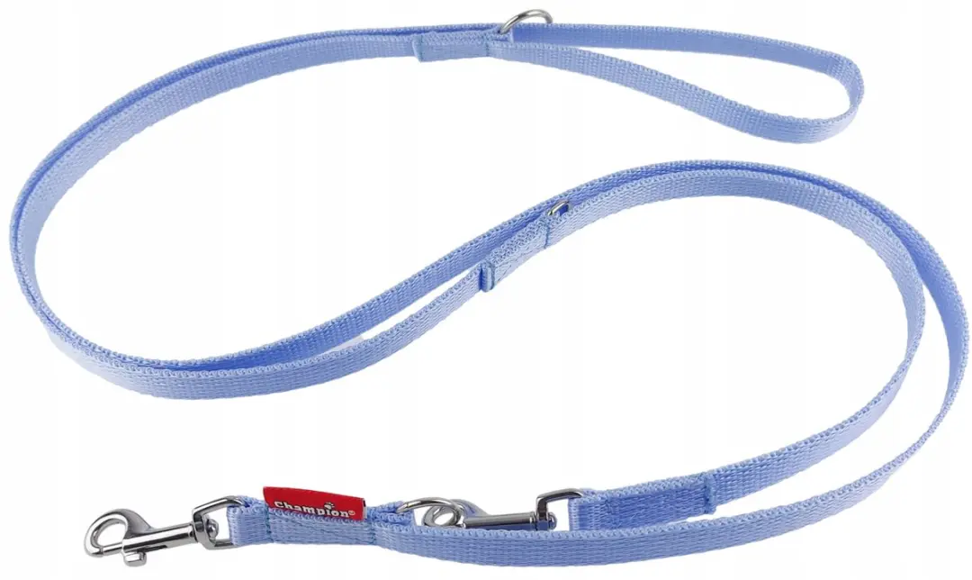 Champion Verstelbare Hondenriem - 225cm - Blauw