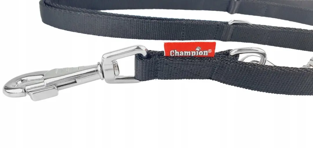 Champion Verstelbare Hondenriem 240cm x 2cm - Zwart