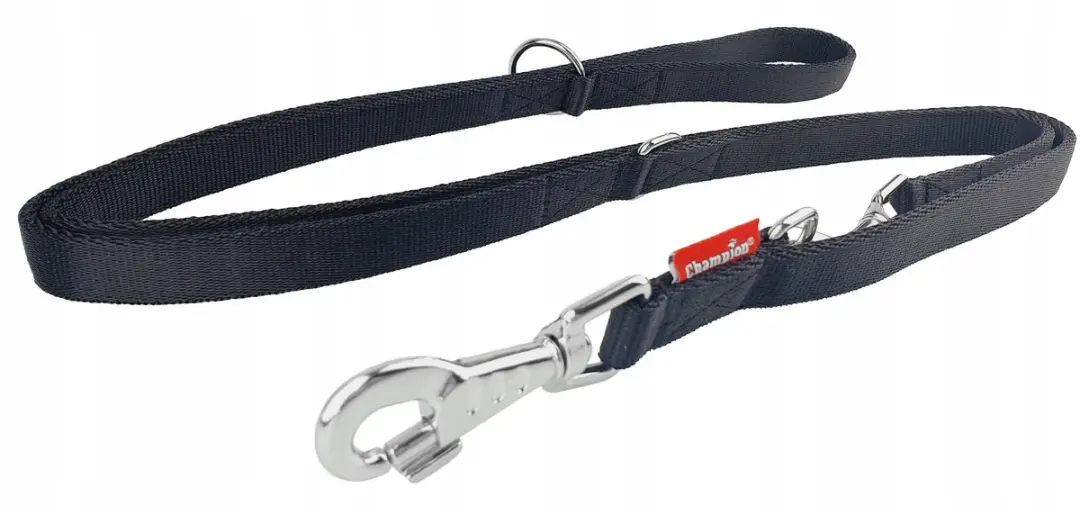 Champion Verstelbare Hondenriem 240cm x 2cm - Zwart