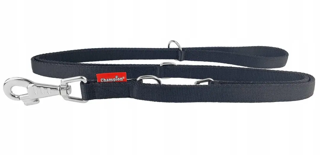 Champion Verstelbare Hondenriem 240cm x 2cm