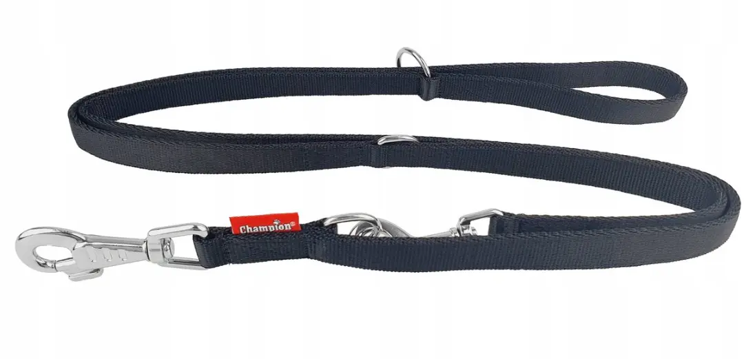 Champion Verstelbare Hondenriem 240cm x 2cm - Zwart