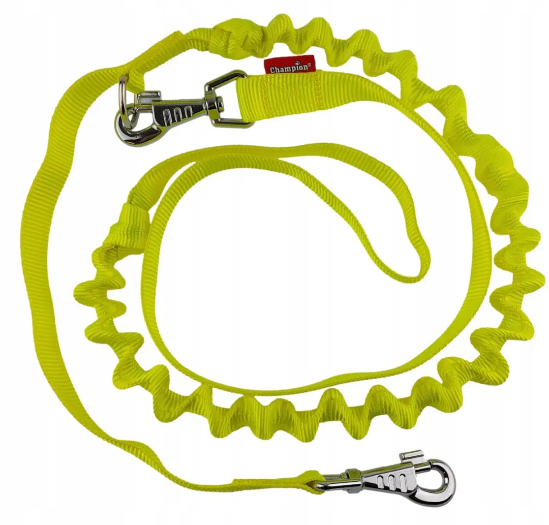 Champion Hondensnoer Geel 250cm