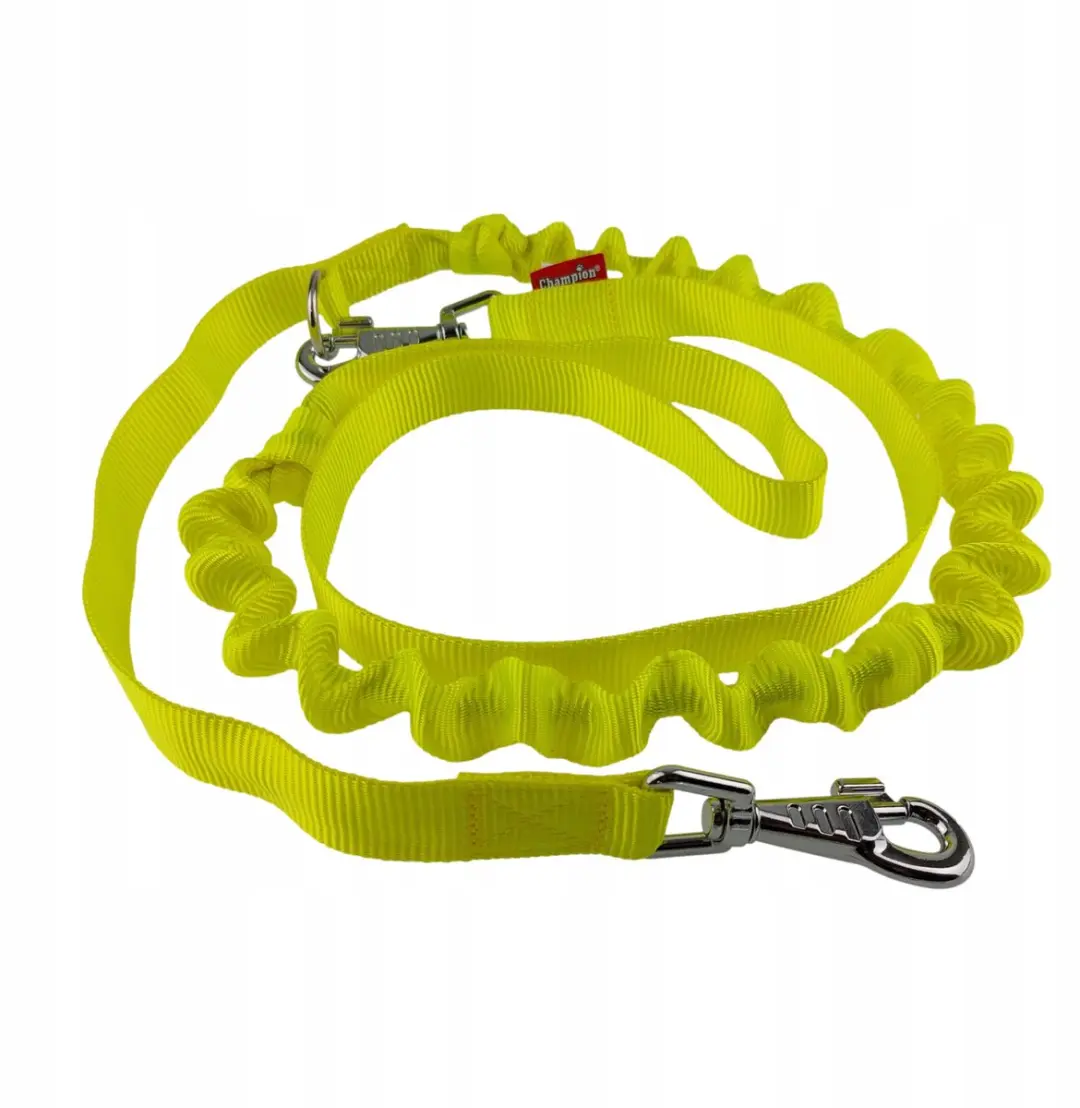 Champion Hondensnoer Geel 250cm