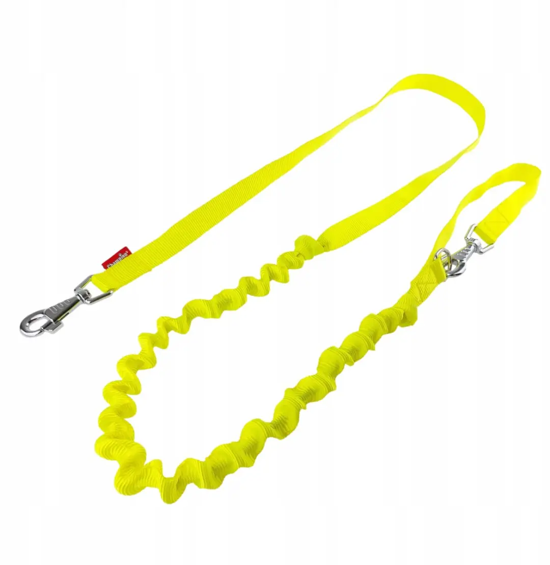 Champion Hondensnoer Geel 250cm