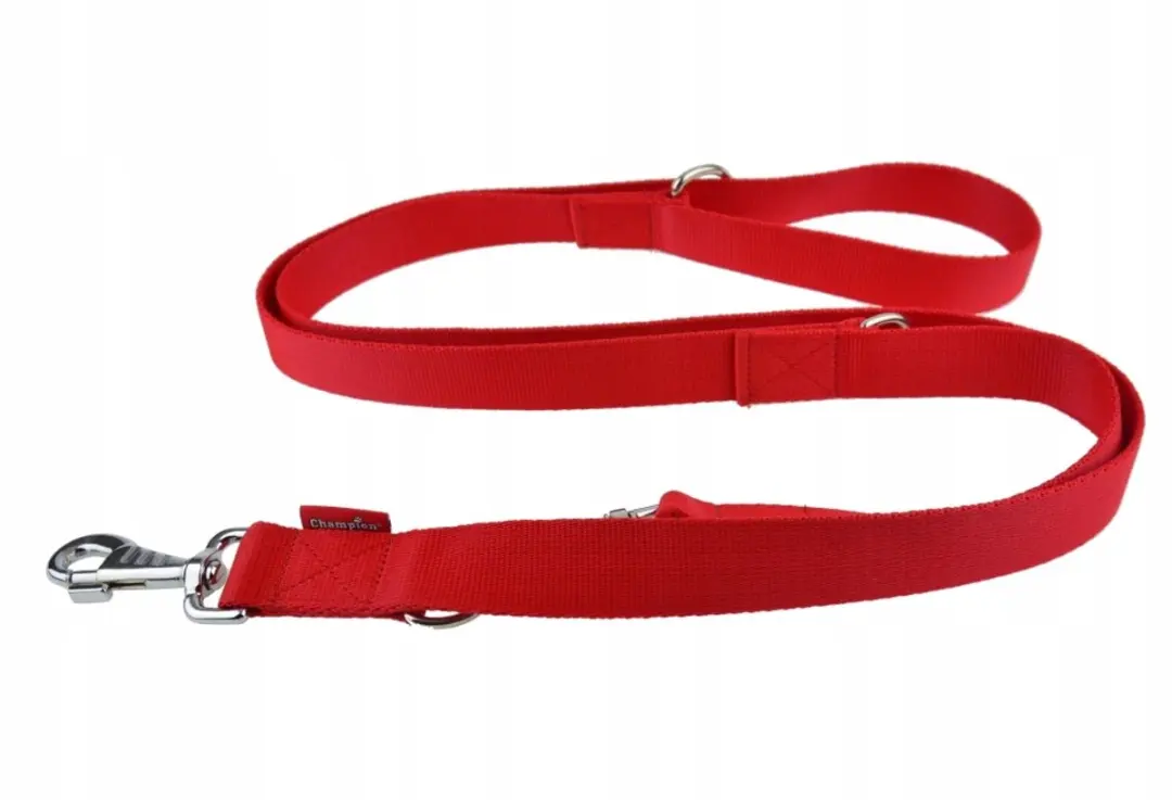 Champion Verstelbare Hondenriem 240cm - 3cm - Rood