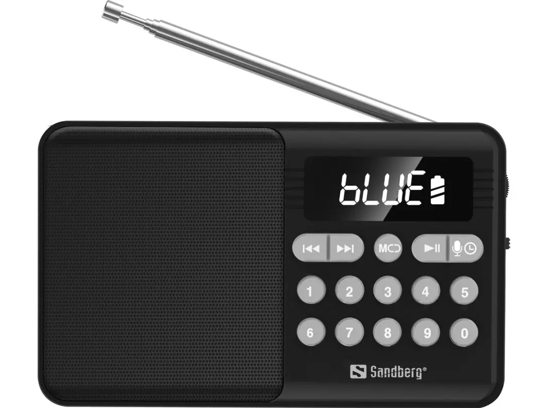Sandberg 421-18 Draagbare Radio FM+BT - 5W - Zwart