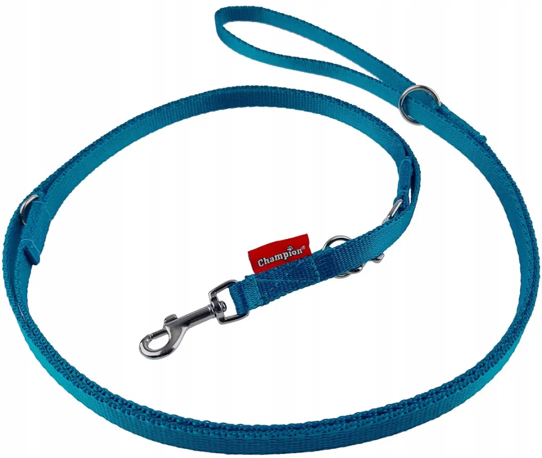 Champion Verstelbaar Hondensnoer 225cm Turquoise