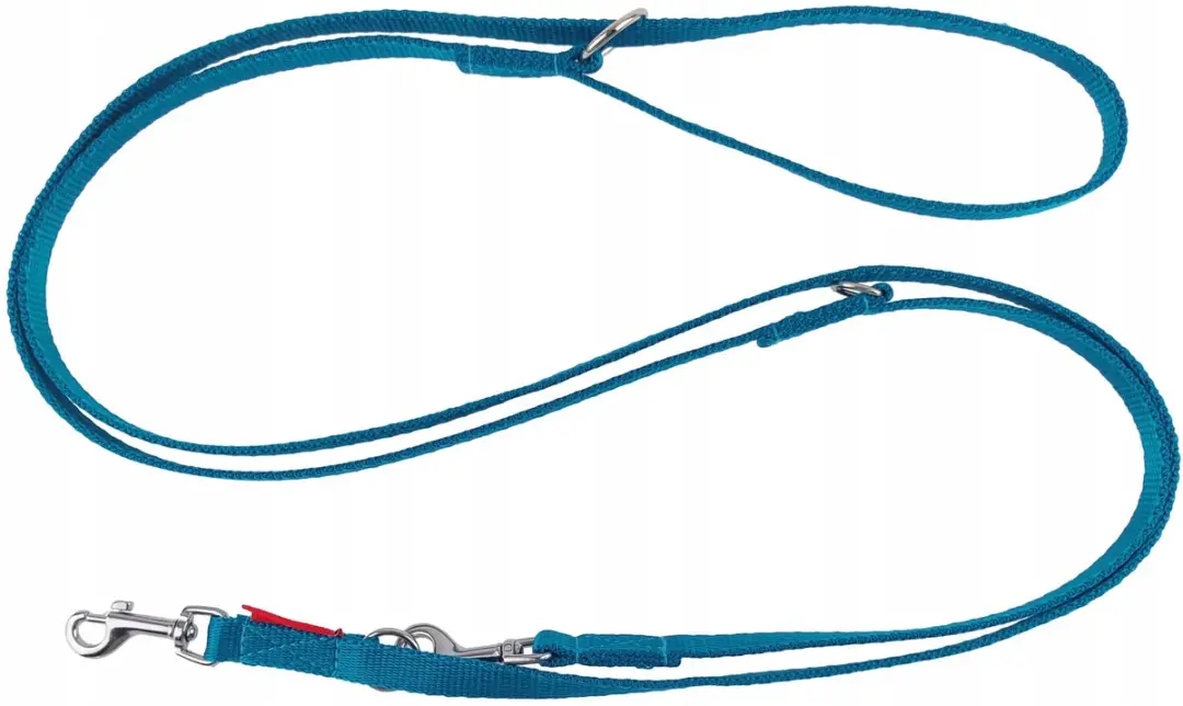 Champion Verstelbaar Hondensnoer 225cm Turquoise