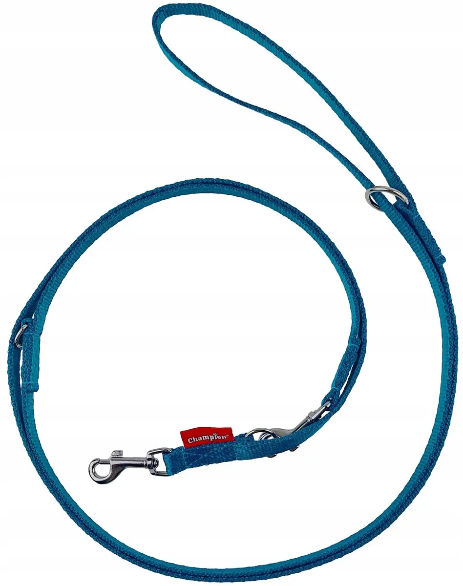 Champion Verstelbaar Hondensnoer 225cm Turquoise