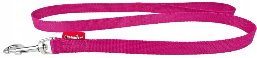 Champion Hondenriem 120cm - 2cm Felle