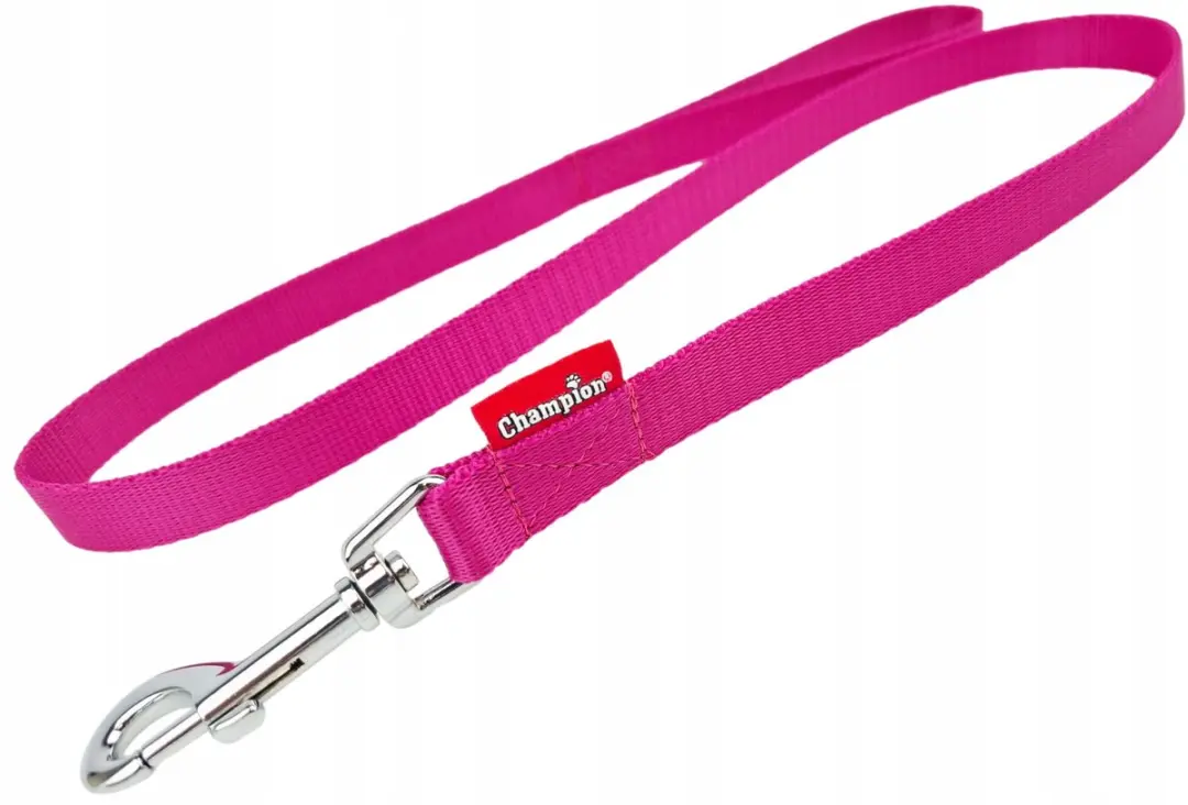 Champion Hondenriem 120cm - 2cm Felle
