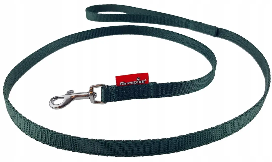 Champion Hondenlijn Groen 120cm
