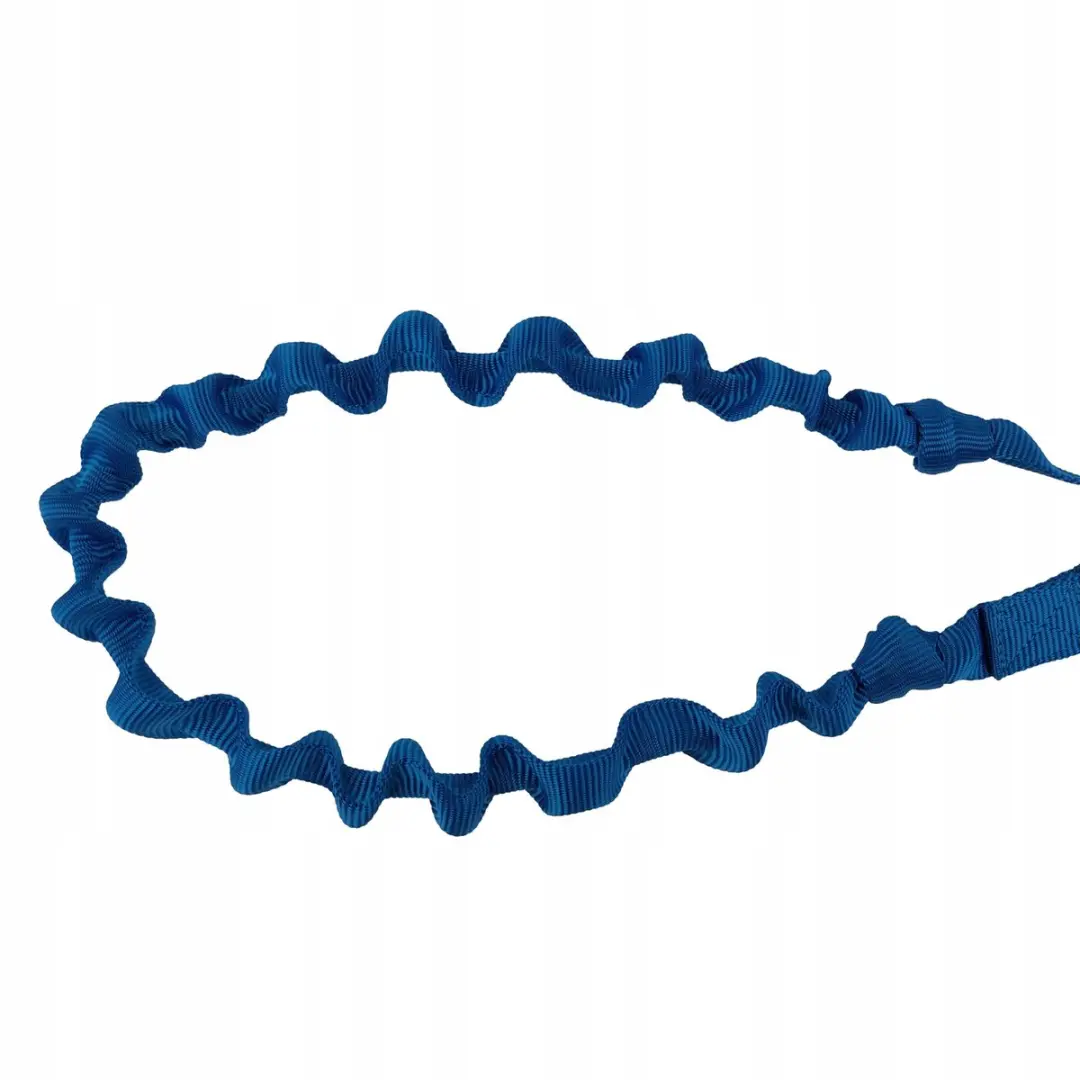 Champion Hondenriem met Schokdemper 250cm - Blauw