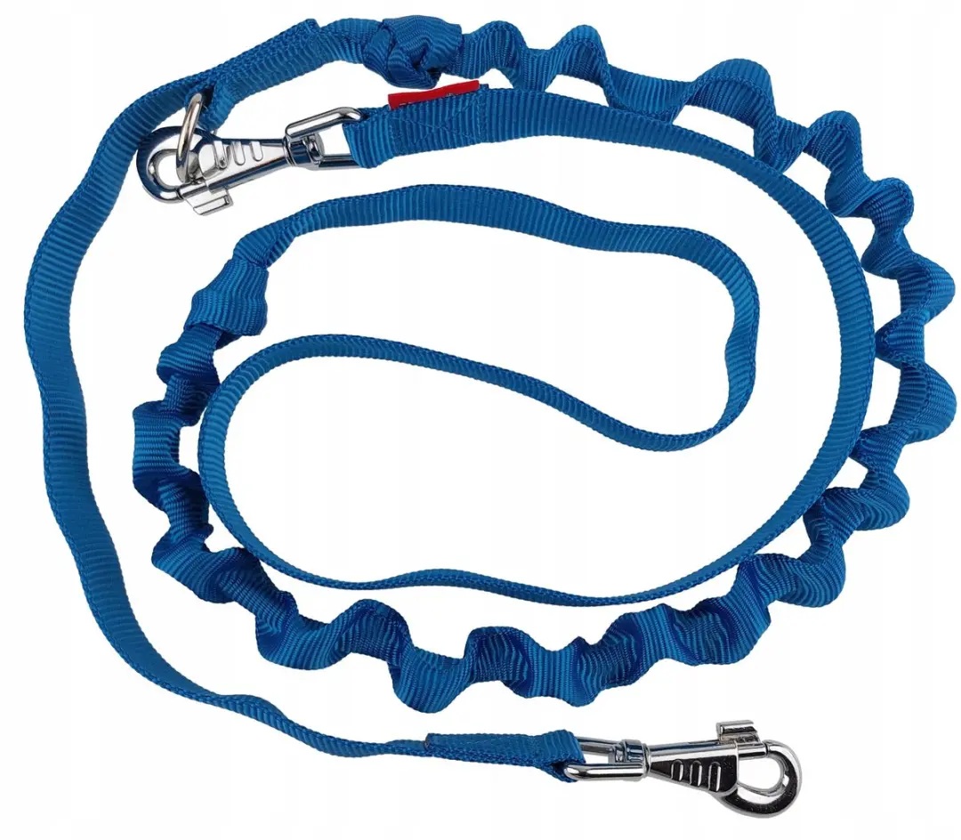 Champion Hondenriem met Schokdemper 250cm - Blauw