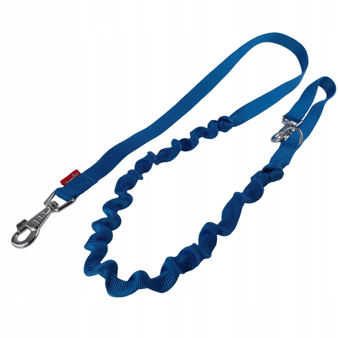 Champion Hondenriem met Schokdemper 250cm