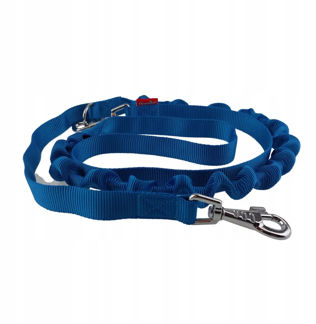 Champion Hondenriem met Schokdemper 250cm - Blauw
