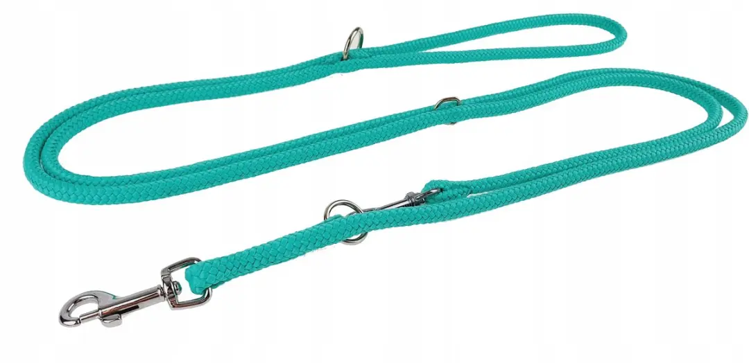 Champion Verstelbare Hondenlijn 2,5m Turquoise