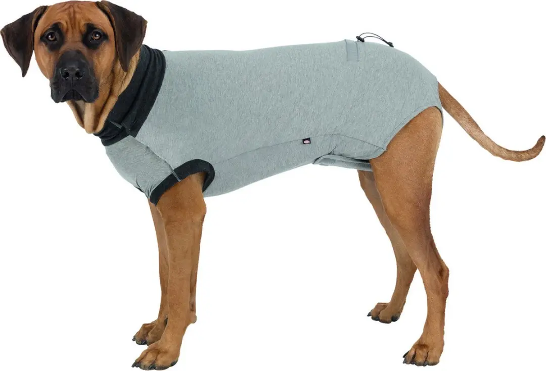 Trixie Beschermingspak Hond Na Operatie