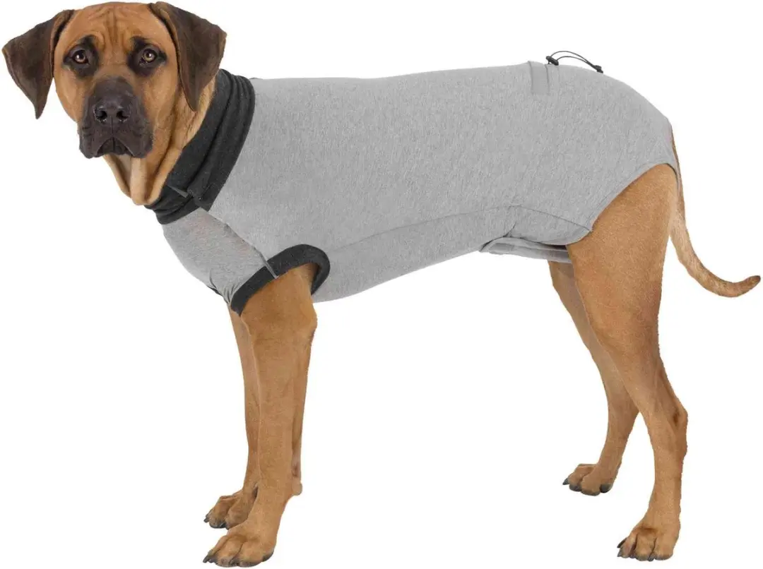 Trixie Beschermingspak Hond Na Operatie - Grijs L-XL
