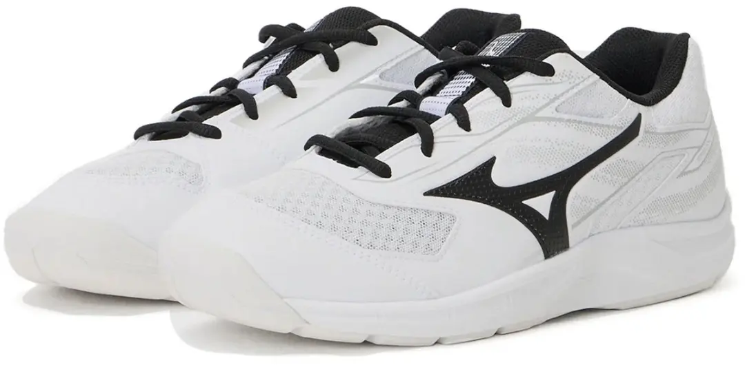 Mizuno Break Shot 5 CS Tennisschoenen Heren