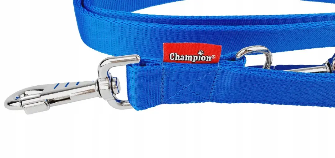Champion Verstelbare Hondenlijn 2.4m x 3cm - Blauw