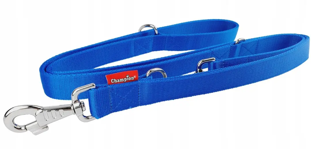 Champion Verstelbare Hondenlijn 2.4m x 3cm - Blauw