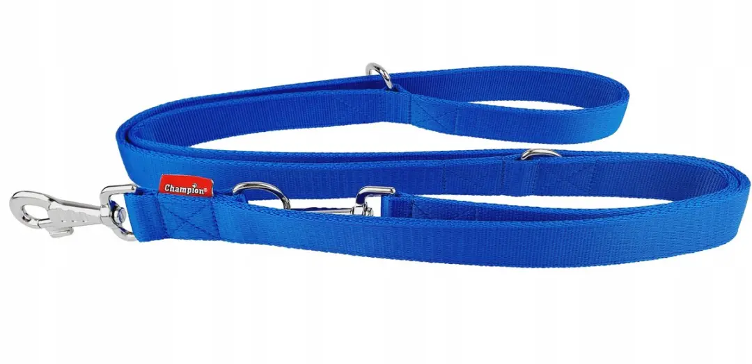 Champion Verstelbare Hondenlijn 2.4m x 3cm - Blauw