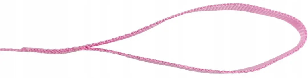 Champion Hondenriem Klassek 120cm x 1,3cm - Roze