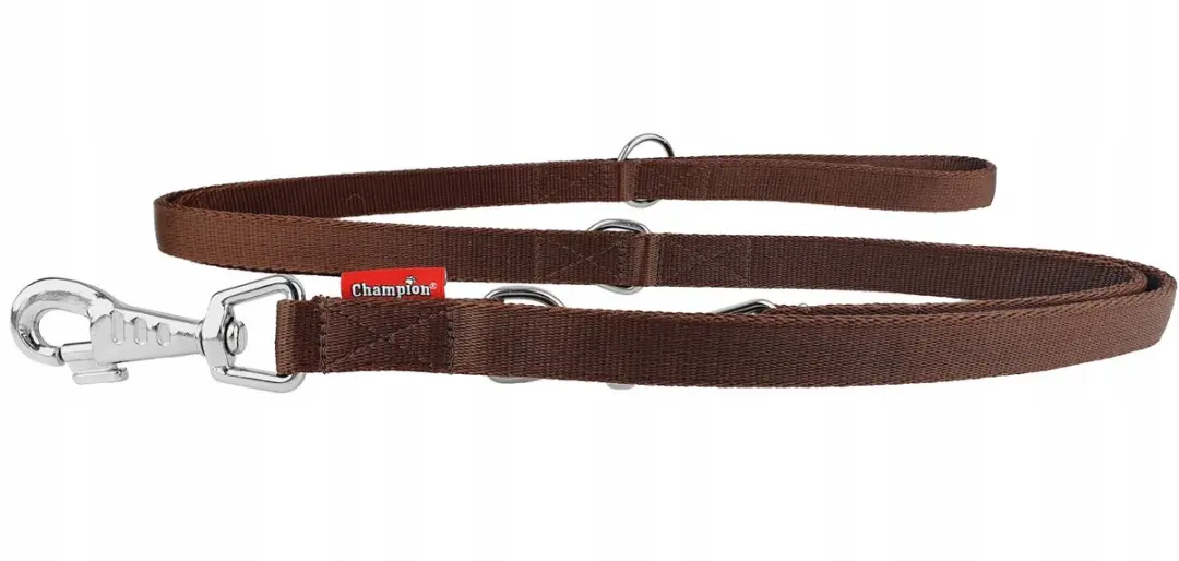 Champion Verstelbare Hondenlijn 2.4m
