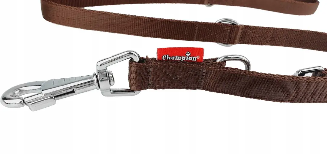 Champion Verstelbare Hondenlijn 2.4m