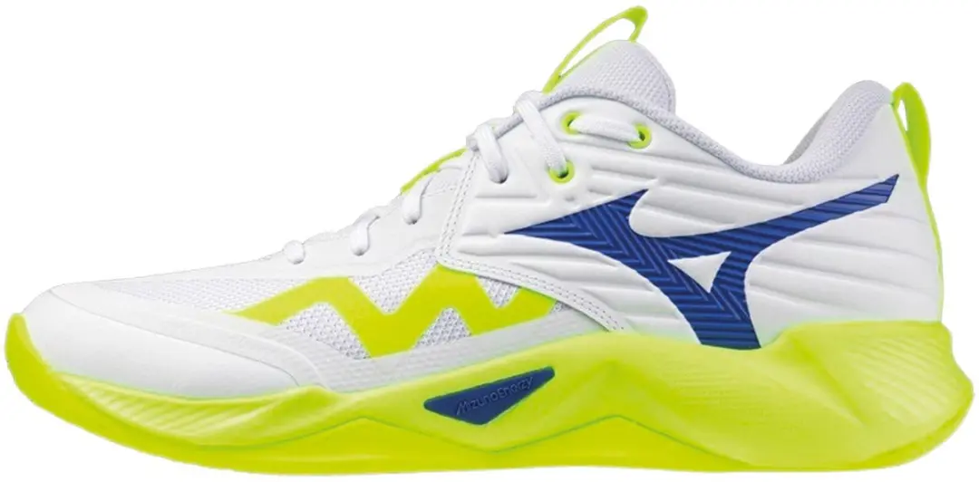 Mizuno Wave Momentum Pro Indoorschoenen Heren V1GA2540-39