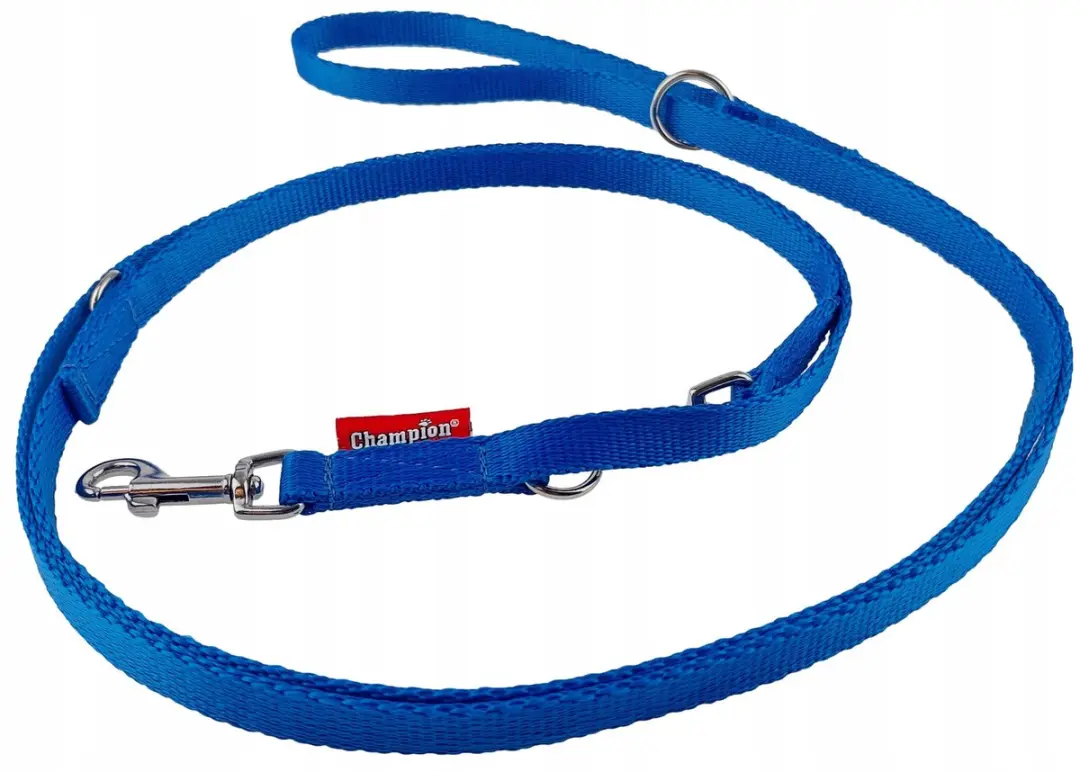 Champion Hondenlijn Blauw 225cm x 1,3cm