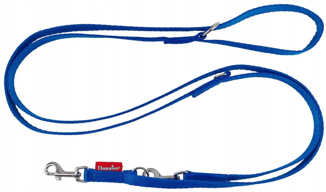 Champion Hondenlijn Blauw 225cm x 1,3cm