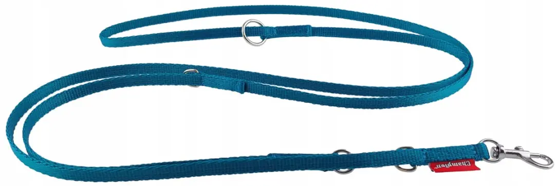 Champion Verstelbaar Hondensnoer 225cm - Turquoise