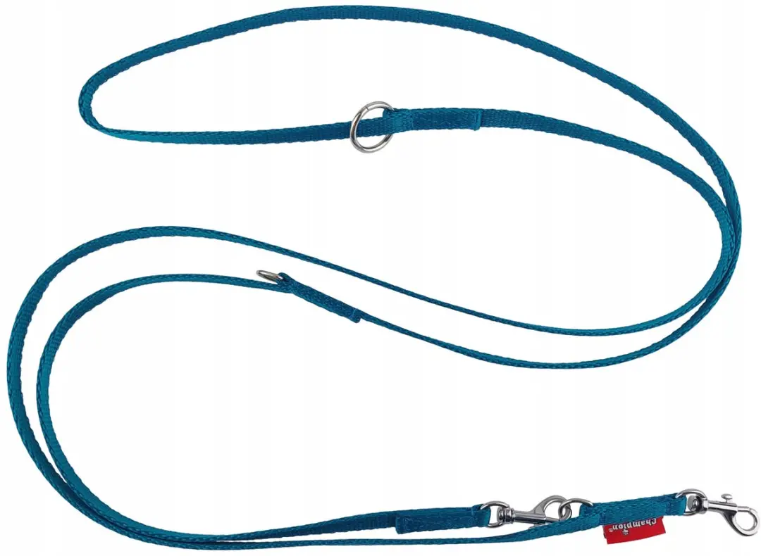 Champion Verstelbaar Hondensnoer 225cm - Turquoise