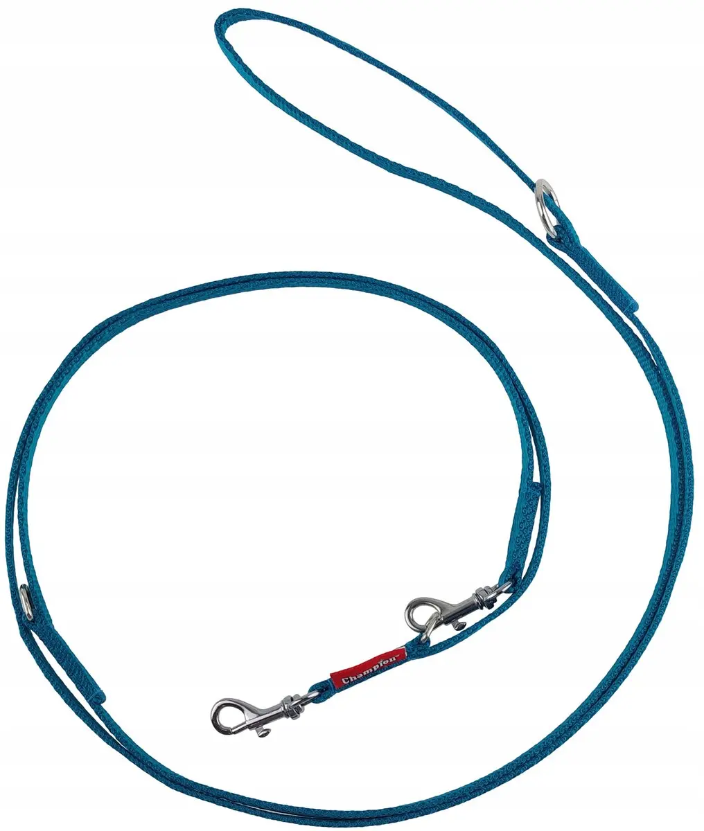 Champion Verstelbaar Hondensnoer 225cm - Turquoise